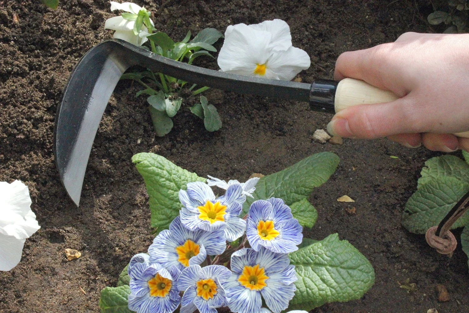 Japanische Sichel Für Rechtshänder - Image 2