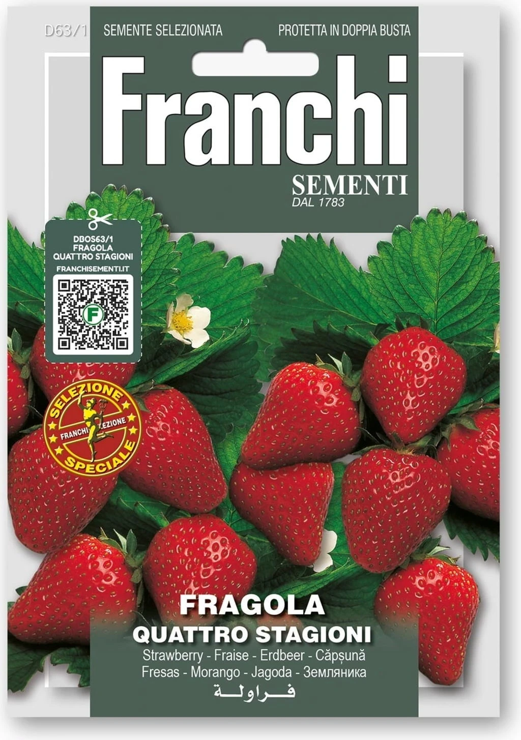 Erdbeeeren "Quattro Stagioni" - Image 2