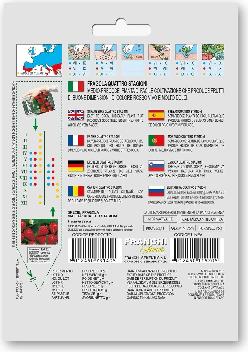 Erdbeeeren "Quattro Stagioni"