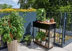 Juliana Gewächshaus Urban - Vertikal