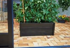 Juliana Pflanzkasten