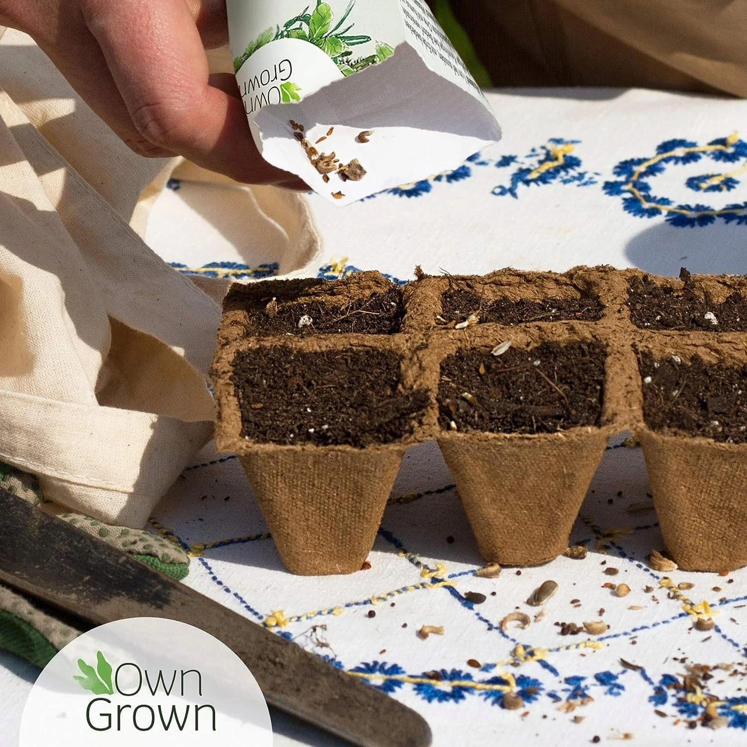 Saatgut "Balkonerdbeere" - Image 3