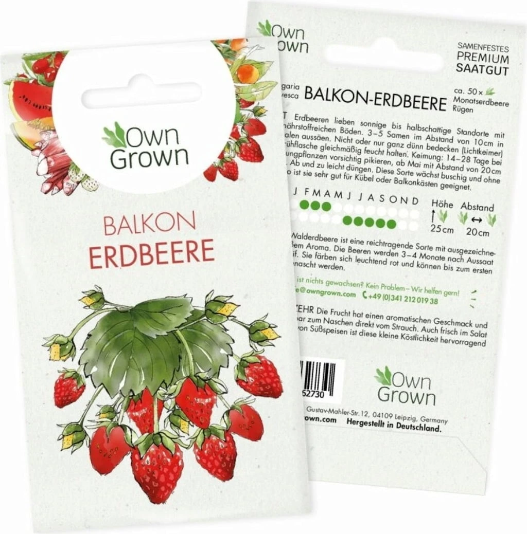 Saatgut "Balkonerdbeere"