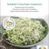 Bio Keimsprossen "Grünkohl"
