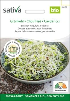 Bio Keimsprossen "Grünkohl"